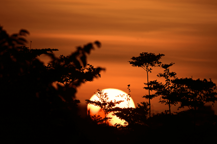 Sun Rise Only Sun The Sun Rise