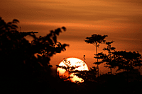 The Sun Rise The Sun Rise